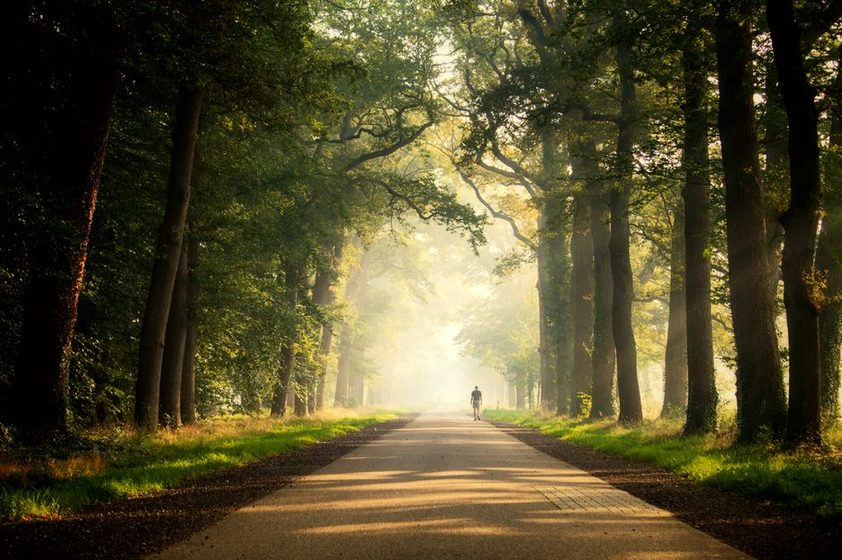 A person walking calmly on a quiet street early in the morning